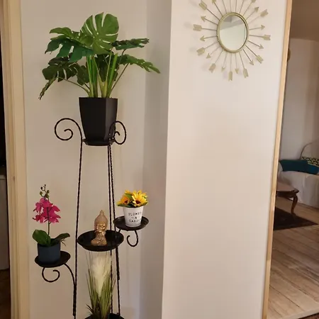 Airial Landais Renove בית נופש סנגווינה