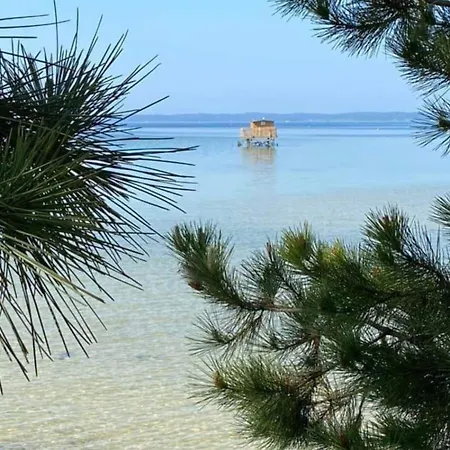 Airial Landais Renove * סנגווינה